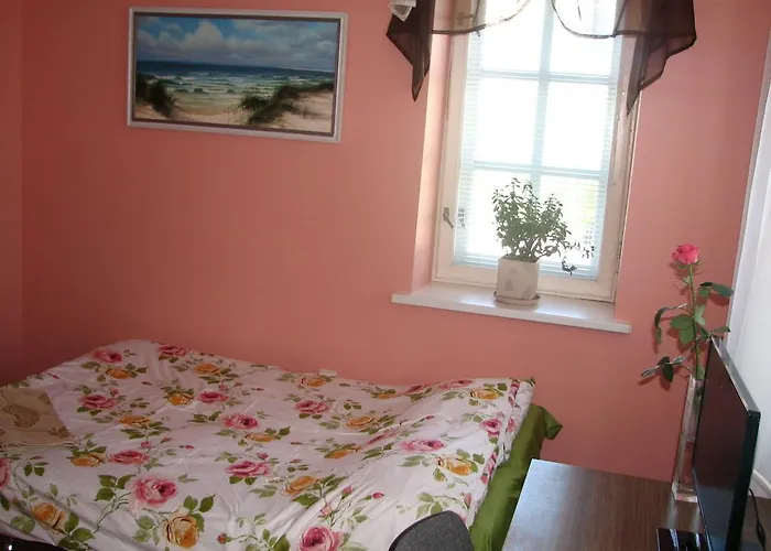 Little Amber Svečių namai Klaipeda