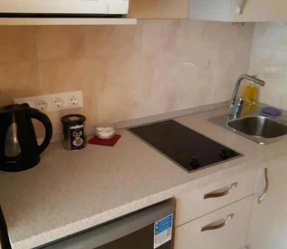 Little Amber Svečių namai Klaipeda