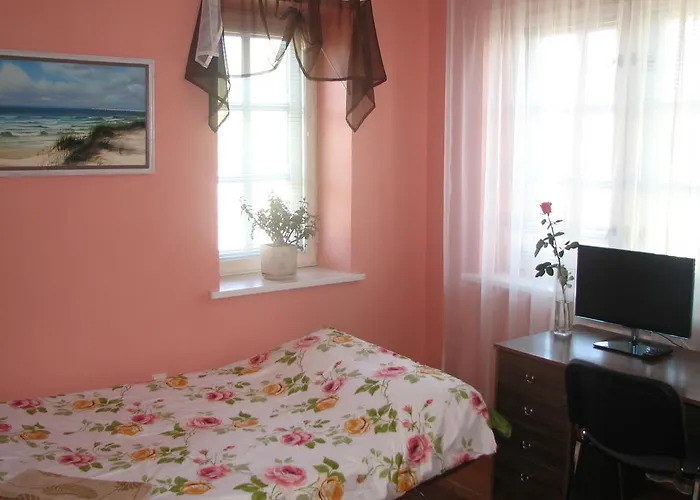 Little Amber Svečių namai Klaipeda